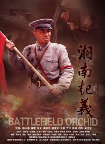 99久久精品国产综合一区