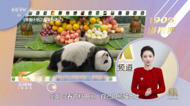 亚洲性网